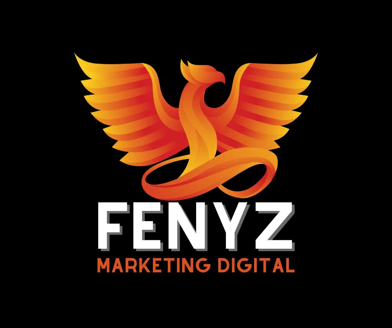 FENYZ MARKETING DIGITAL